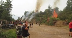  Καταγγελίες για ολιγωρία του κρατικού μηχανισμού στην κατάσβεση της πυρκαγιάς που κατέστρεψε δάση και περιουσίες «Στείλτε αεροπλάνα, πού εί...