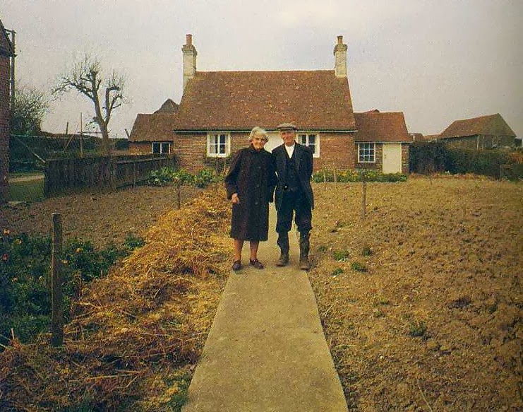 An Elderly Couple Took The Same Photo Every Season. But Nothing Could Prepare Me For The Last One.