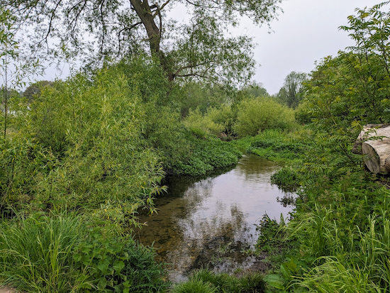 The River Mimram