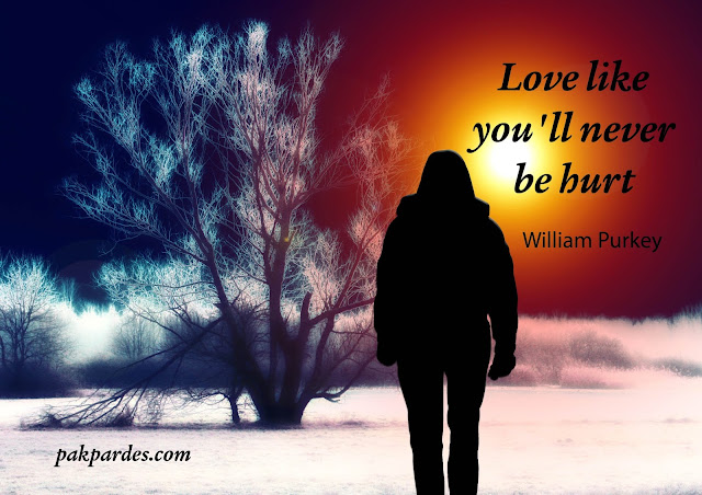 Love like you'll never be hurt - William Purkey,love,quotes,love quotes,best love quotes,love quotes and sayings,love quotes for him,romantic quotes,inspirational quotes,movie love quotes,famous quotes,love (quotation subject),what is love,love quotes for her,short love quotes him,love quotes for someone special,cute love quotes,love quotes for him from the heart,long love quotes for him,love quotes to him,best love quotes for him