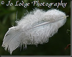 IMG_7572