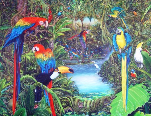 Araras exóticas / exótic birds