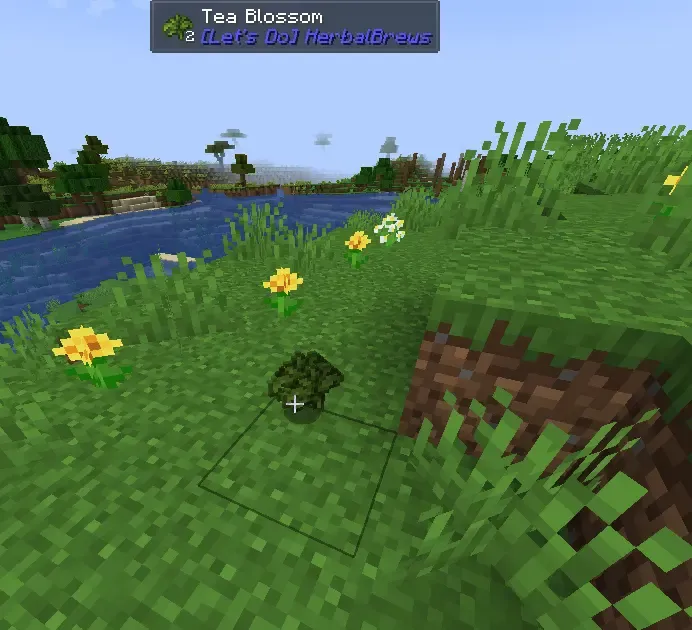 TeaBlossom