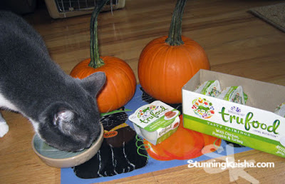 Wellness Pumpkin TruFood is the Perfect Treat This Halloween