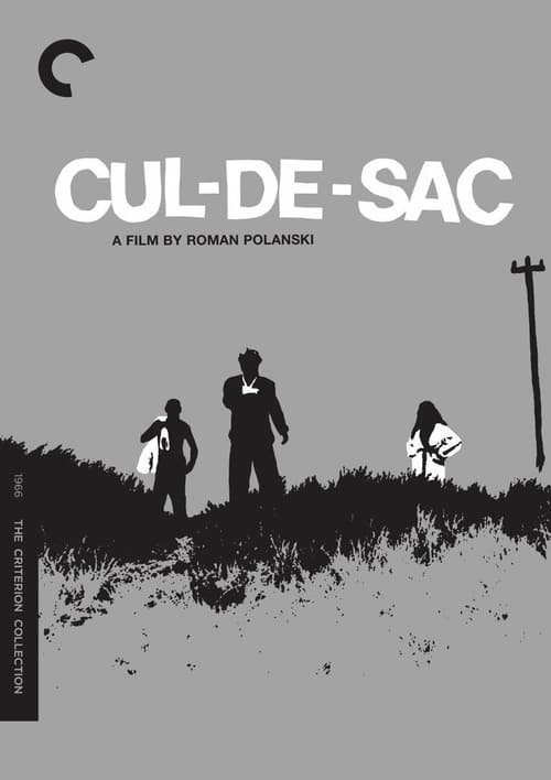 [HD] Cul-de-sac 1966 Film Entier Vostfr