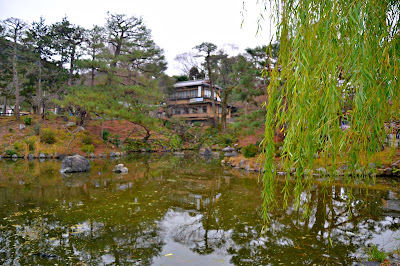 Maruyama Park is one of the must-visit parks in Kyoto during spring and autumn. The Weeping Cherry tree is a must see.