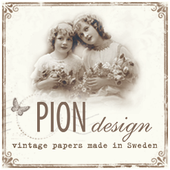 JEG DESIGNER FOR PION DESIGN