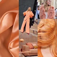  Pantone's Colour of The Year 2024: Is Peach Fuzz 