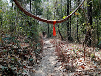 TEMPLOS DE CHIANG MAI, TAILANDIA. (3) WAT PHA LAT