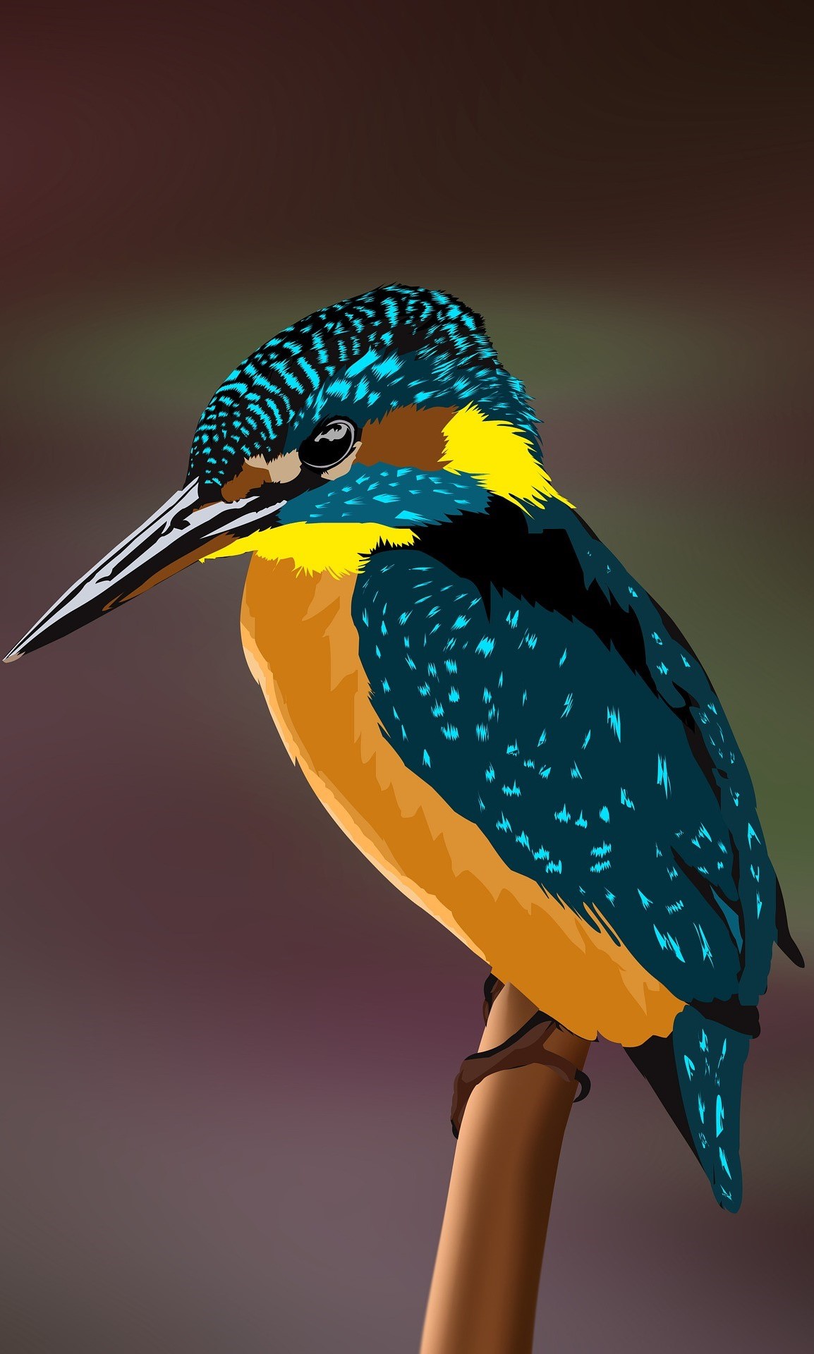 Animated picture of a kingfisher.