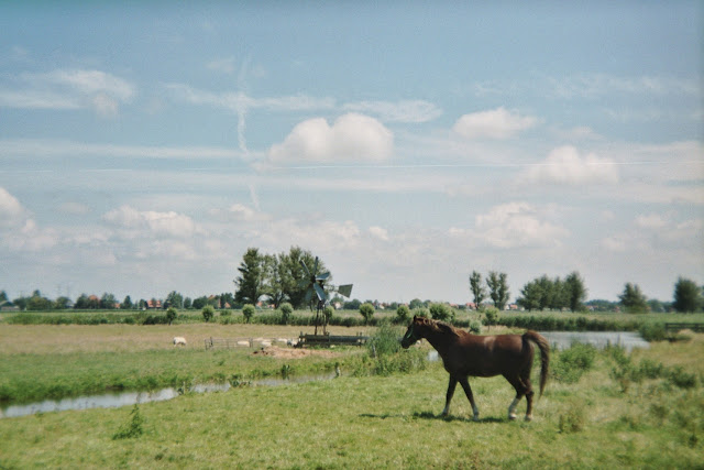 Ergens in Noord-Holland, 2012