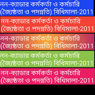 নন-ক্যাডার কর্মকর্তা ও কর্মচারি (জ্যৈষ্ঠতা ও পদন্নতি) বিধিমালা-2011