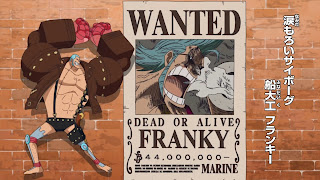 ワンピースアニメ 麦わらの一味 フランキー 手配書 懸賞金 ONE PIECE  Straw Hat Pirates FRANKY