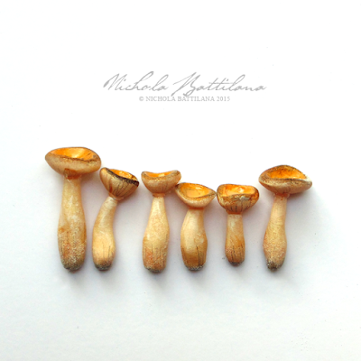 Fairy Mushrooms - Nichola Battilana