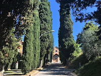 The cypresses along both sides of the road, leading to the church