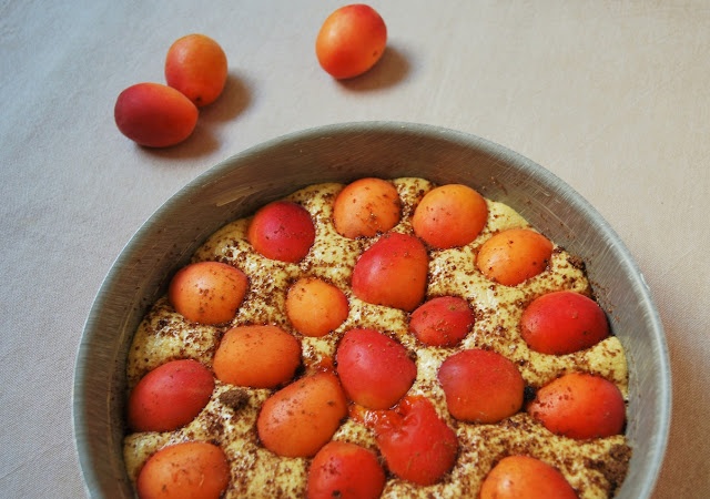 Gâteau aux abricots