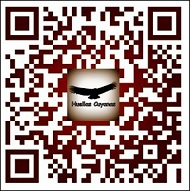 * MI BLOG EN CODIGO QR *
