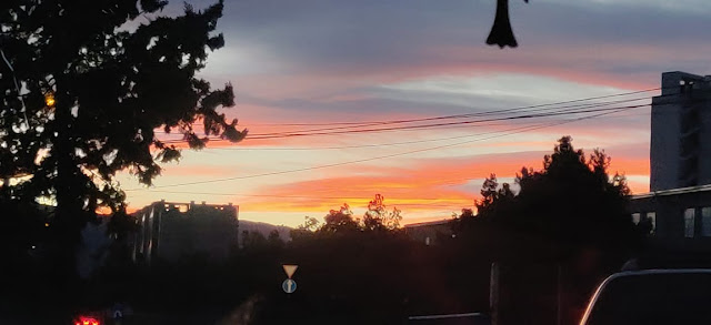 https://thesneakpeakofnature.blogspot.com/2019/03/evening-love.html