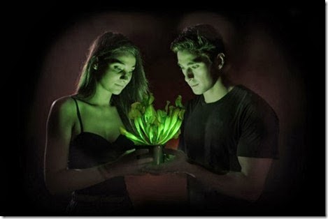planta luminosa 2