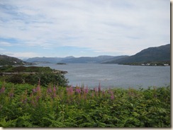 026_thumb[1]