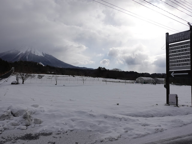 アイノピア入り口バス停　大山の眺望