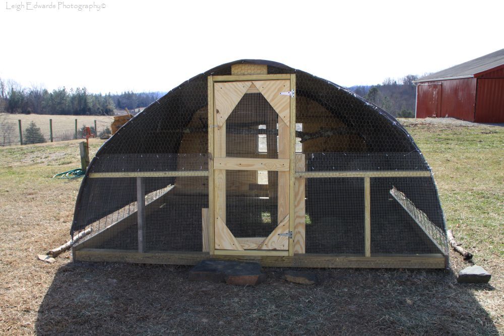 Natural Chicken Keeping: How Much Coop and Run Space Do I Need?