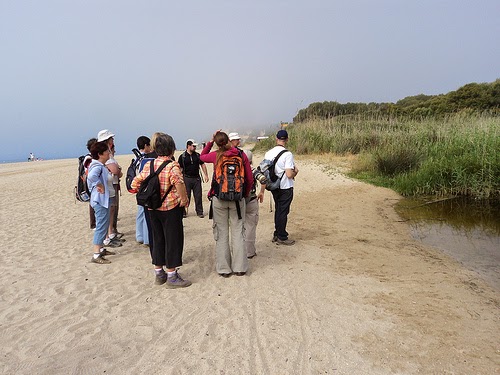 Desembocadura del riu Gaià a la platja de Tamarit. Foto de  Secció Natura UES