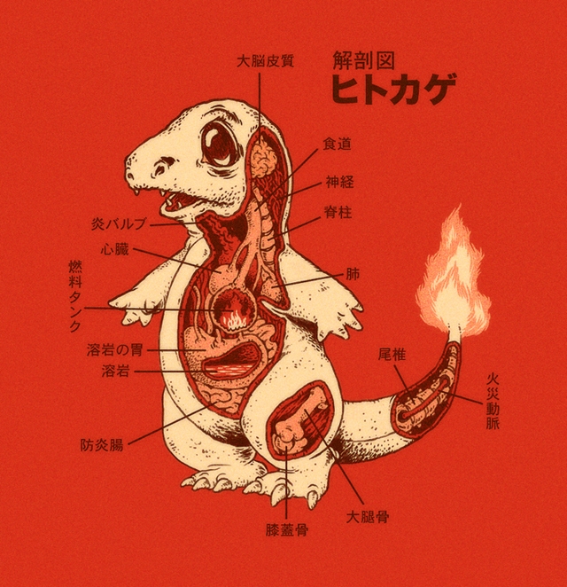 可愛いポケモンの解剖図 見たくなかったグロい部分も A ミライノシテン 可愛いポケモンの解剖図 見たくなかったグロい部分も A ミライノシテン