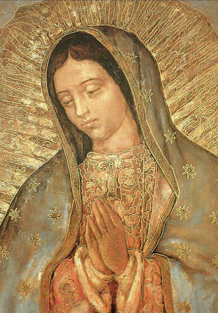 Nossa Senhora de Guadalupe padroeira do México e das Américas