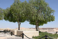 Las tumbas de Paula y David Ben-Gurión