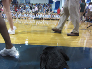 Photo of the back of Coach's head as he looks out onto the gym floor and the crowd filing in.