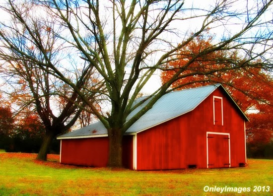 Red barn 4 2013