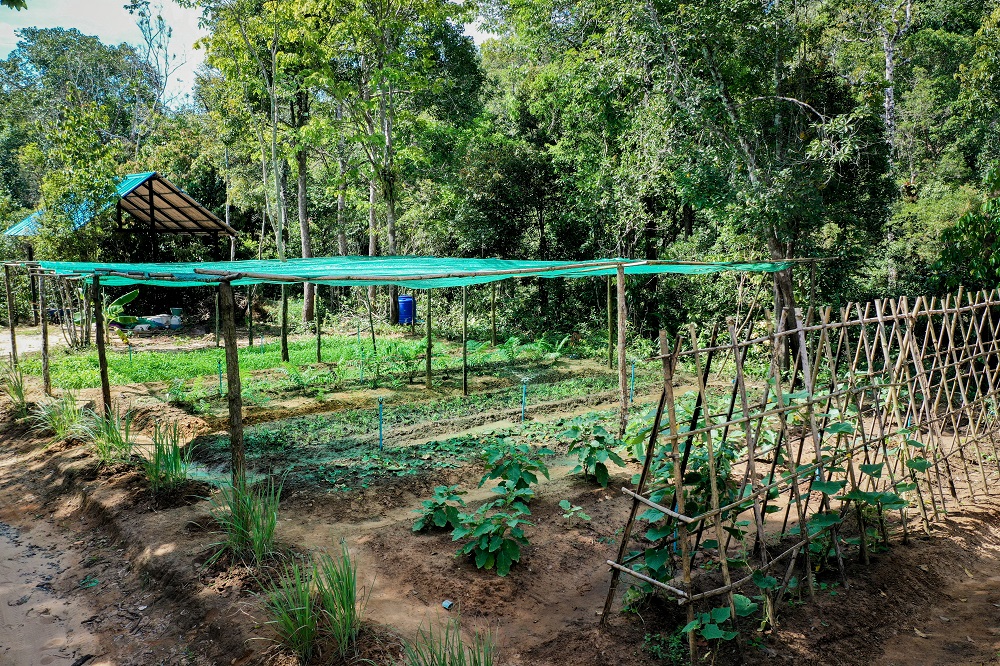 SHINTA MANI FOUNDATION EXPANDS SUSTAINABLE ORGANIC FARMING TO SUPPORT HOTELS AND LOCAL VILLAGERS