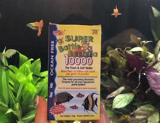 Bakteri Starter Super Battle Bacteria 10000