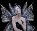 Hadalu-mayovioleta0503