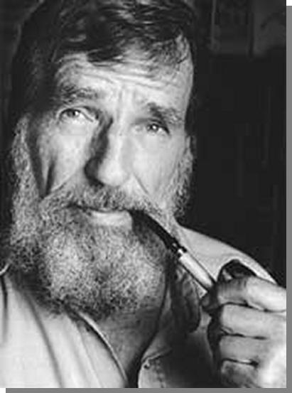 Edward Abbey Quotes. QuotesGram