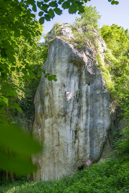 Max-Schultze-Steig Runde ab Pentling bis Kloster Prüfening - Landkreis Regensburg - wandern an der Donau 06