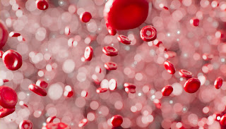 red blood cells