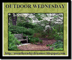 Outdoor Wednesday Button