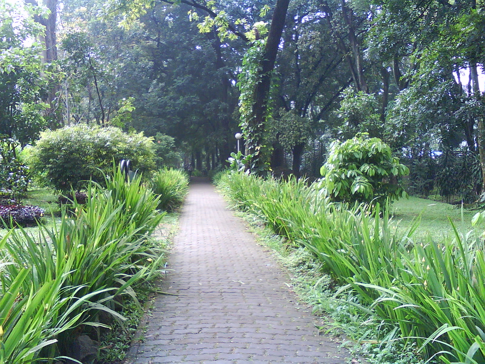 wisata candi borobudur