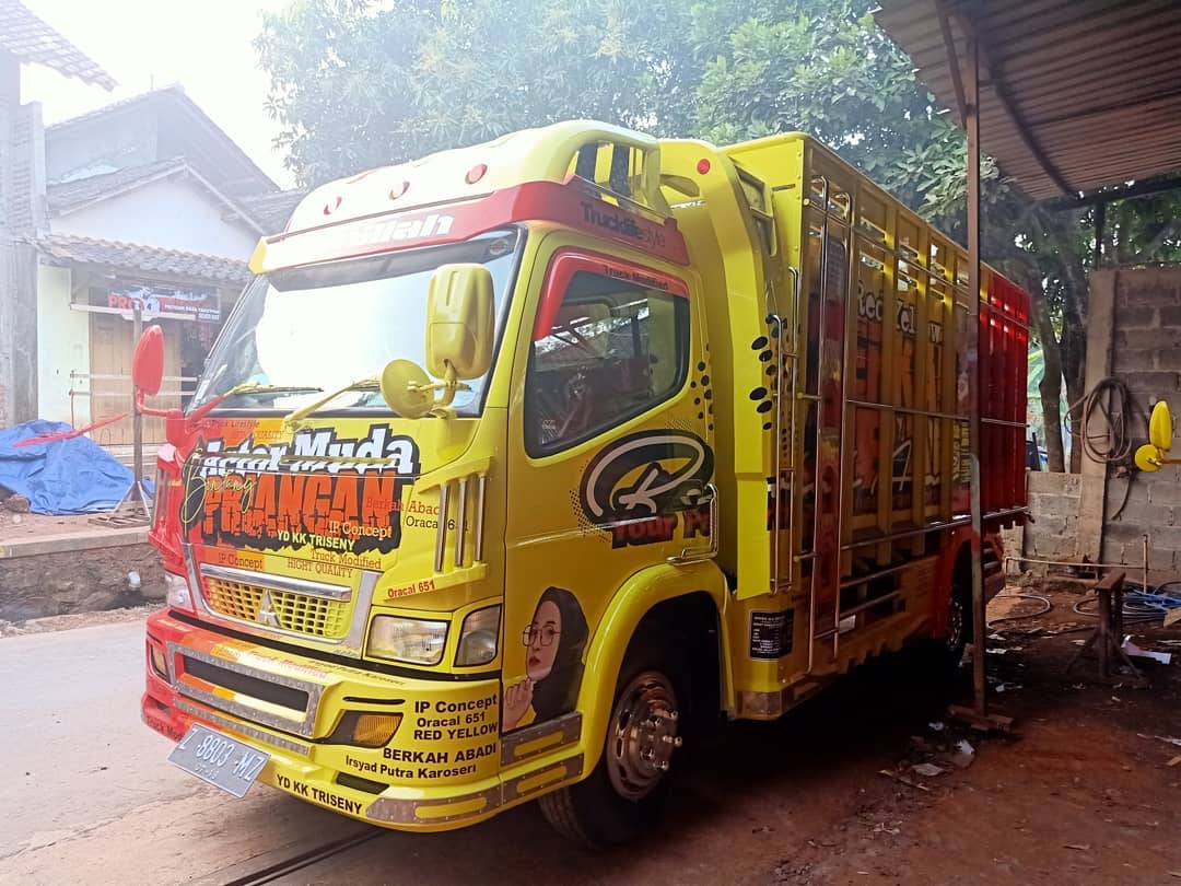 Jual Bak Truk  dan Variasi Serta Modifikasi Canter Elf 