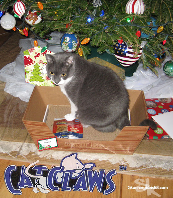 Cat Claws Subscription Box: The Gift That Keeps On Giving. Win One Here! #sponsored