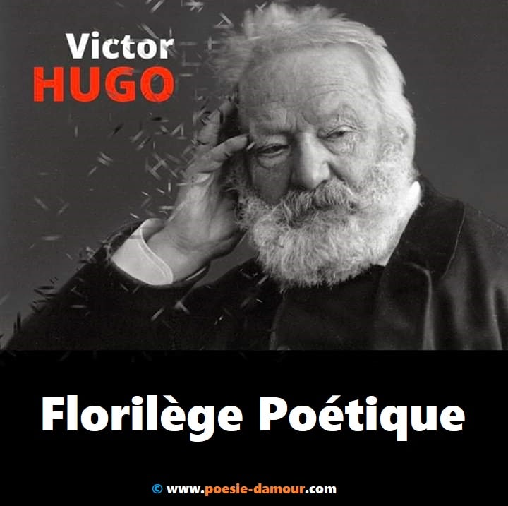 Les Plus Beaux Poemes D Amour De Victor Hugo Poemes Poesies