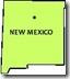 new mexico1