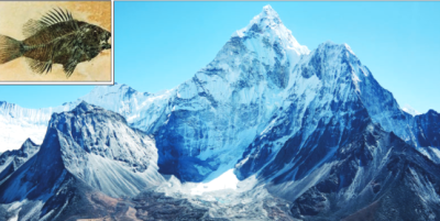 Fósseis no Everest apontam para Dilúvio