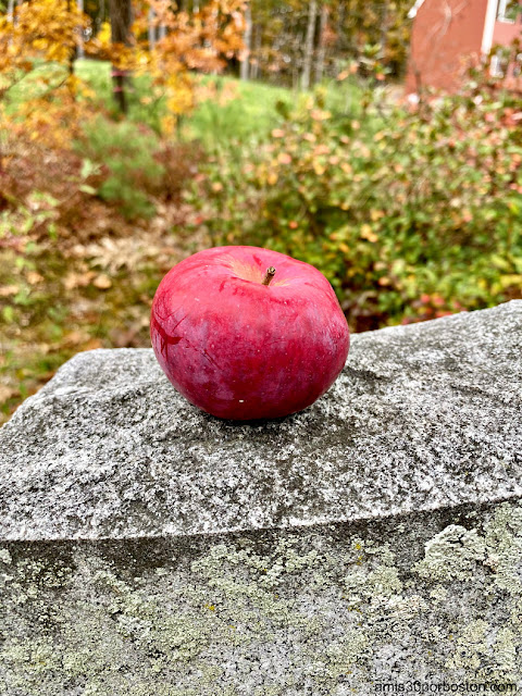 Señal de Granito en el Lugar de Nacimiento de Johnny Appleseed en Leominster