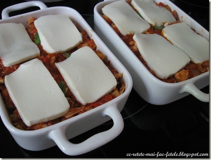 Gnocchi cu piept de pui şi mozzarella - asezam mozzarella