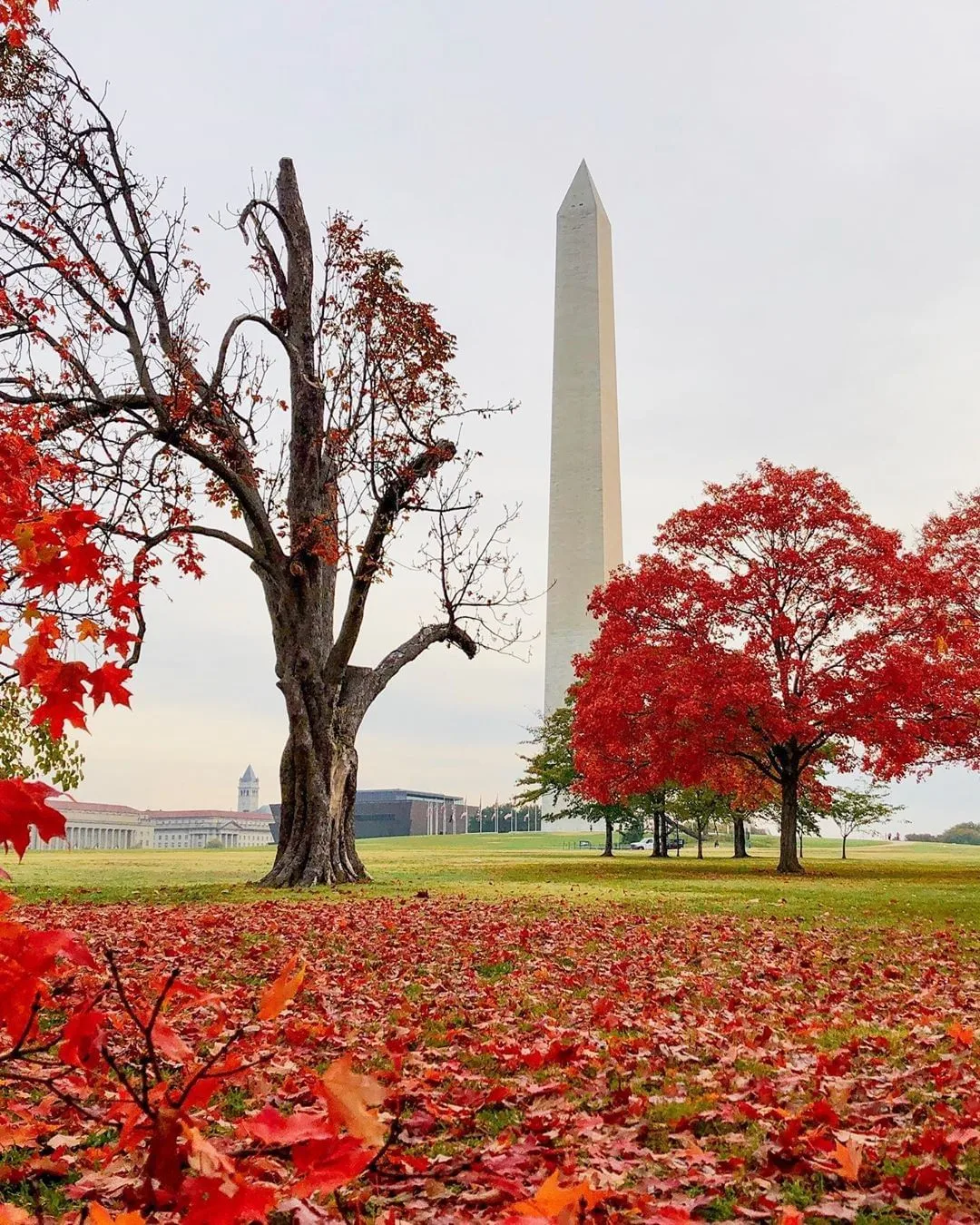 Washington DC HD Wallpaper for PC