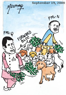 daily newspaper cartoon pakistan