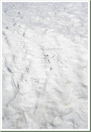 left in the snow